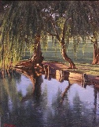 WILLOW REFLECTIONS
